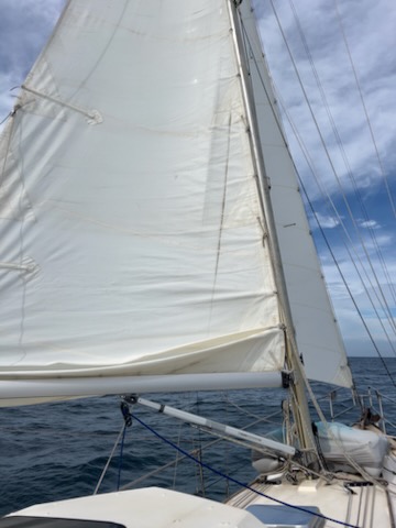 sailing2