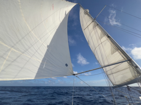 sails